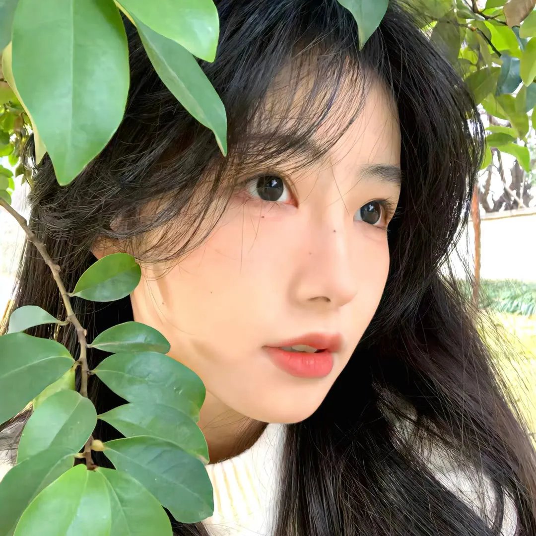 灼灼韶华